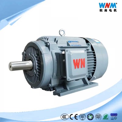 High Efficiency Three Phase Induction Asynchronous AC Electric Motor