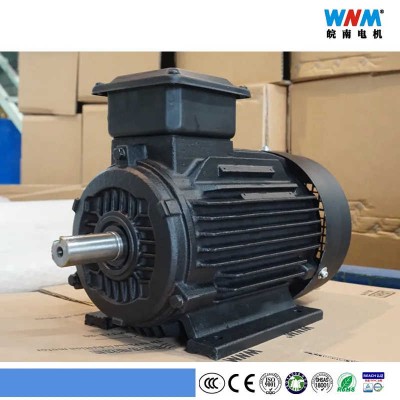 Three Phase Induction AC Electric Motor for Fans Pumps Conveyors Crushers