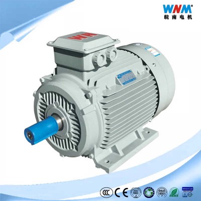 Variable Speed Regulation Induction Electric Motor for Pumps Fans Blowers