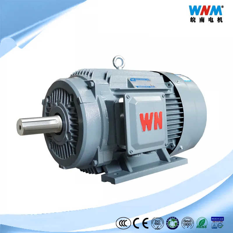 Variable Speed Regulation Induction Electric Motor for Pumps Fans Blowers