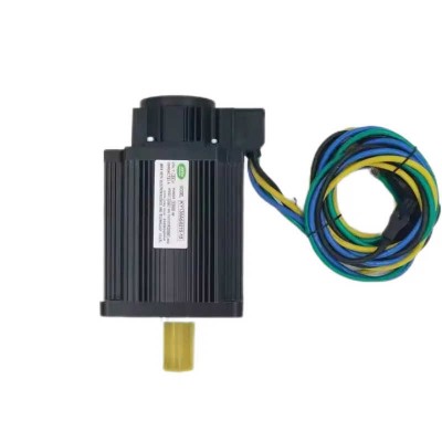 Factory Flange110mm 48V 1500W 2kw 2HP Brushless DC Servo Motor