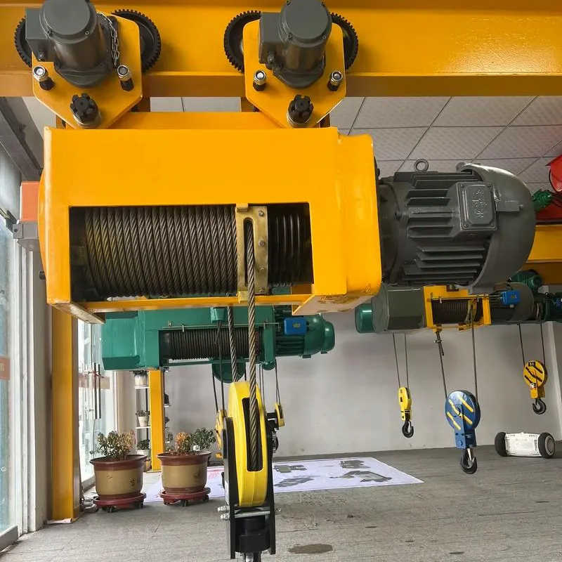 3 Ton Wire Rope Hoist Compact CD1 MD1 Electric Hoist for Workshop