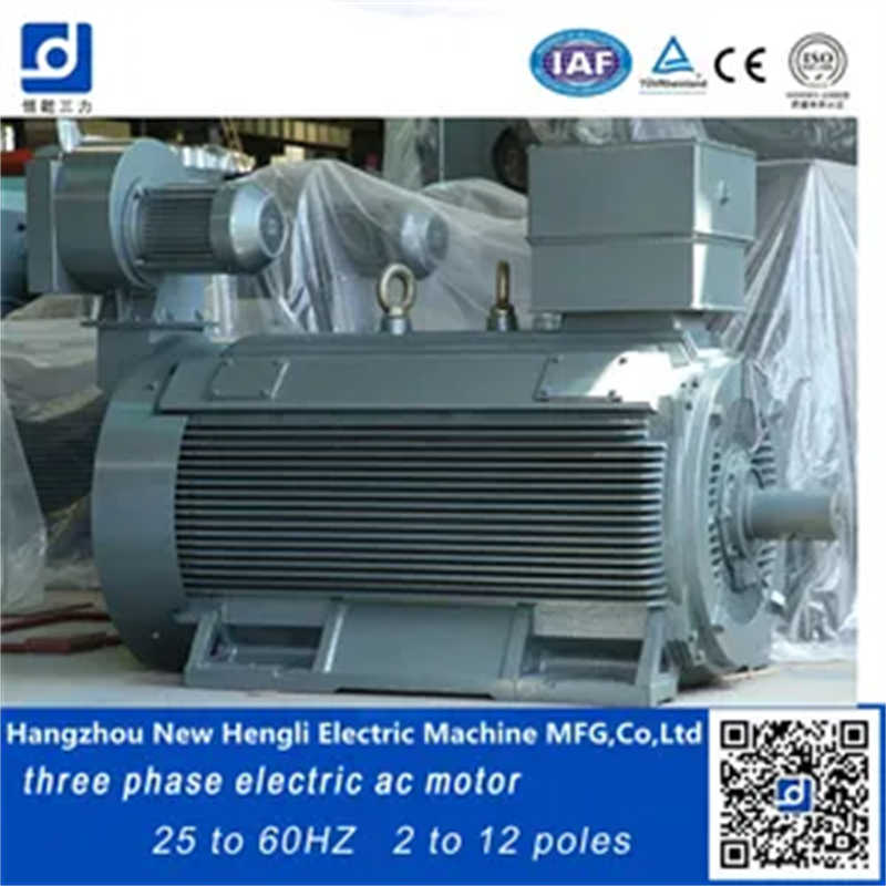 Ie3 1000rpm 600V Speed Variable AC Induction Motor