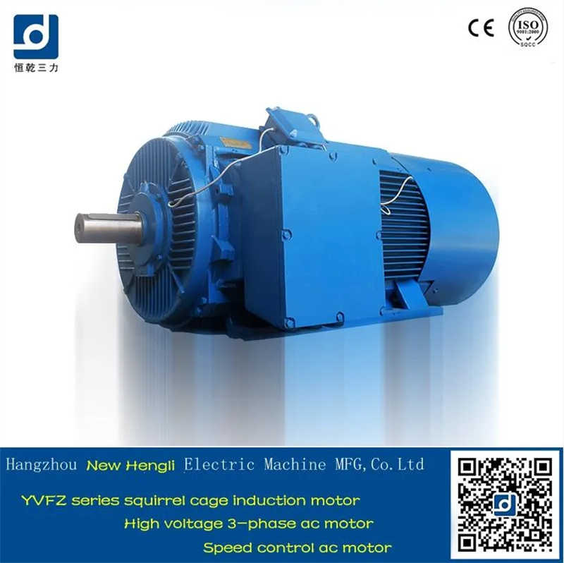 Ce CQC 600rpm 400V Speed Variable AC Induction Motor