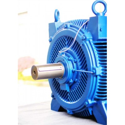 Ce CQC 600rpm 690V Speed Variable AC Induction Motor