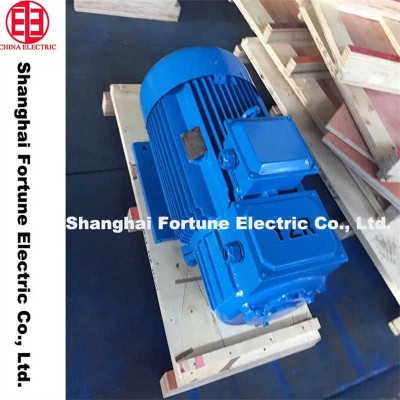 Yz, Yzr Series AC Motor for Crane and Metallurgical Uses