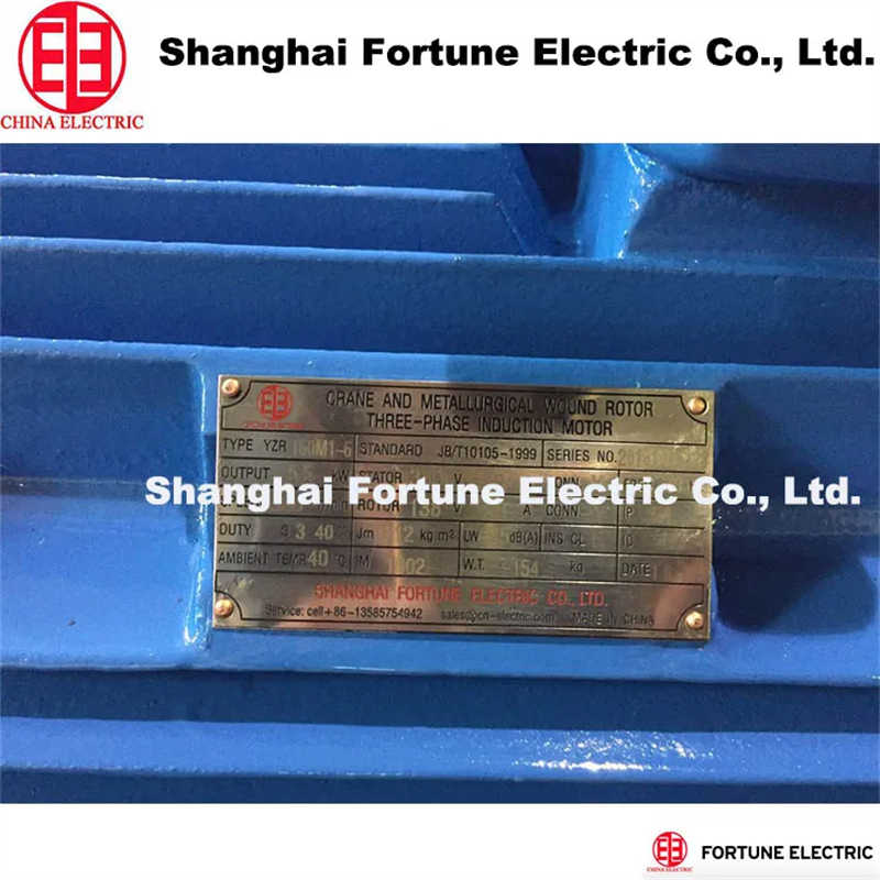 Yzr Series Slip Ring Wound Rotor Motor for Crane and Metallurgical Uses