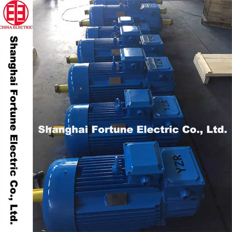 Best Quality High Voltage Yz Yzr Series Three Phase AC Motor