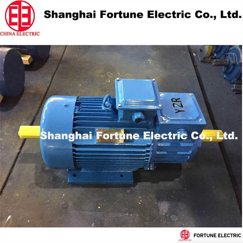 Supply Large Overload Capacity Yzr Yz Three Phrase AC Electric Motor