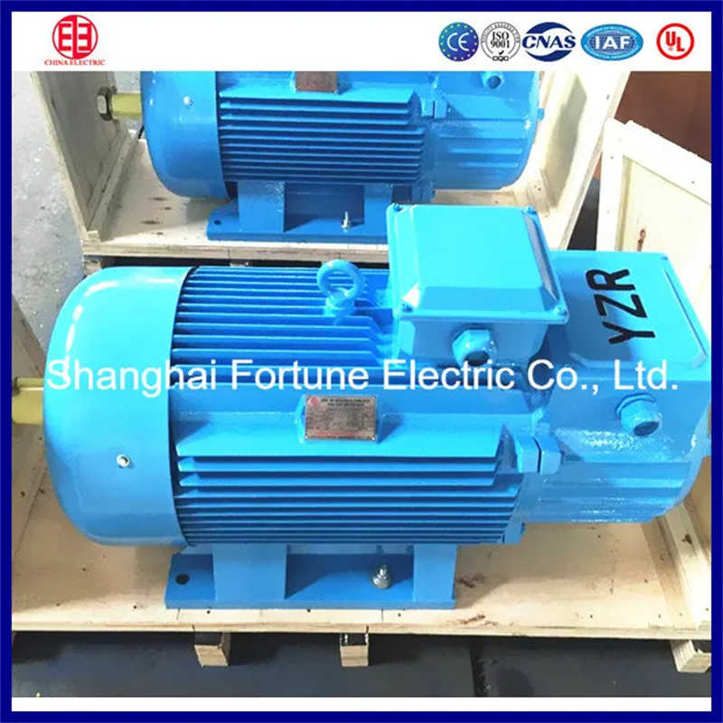 High Torque Crane Motor for Metallurgical Machinery