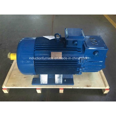 High Torque Crane Motor for Hoisting Machine