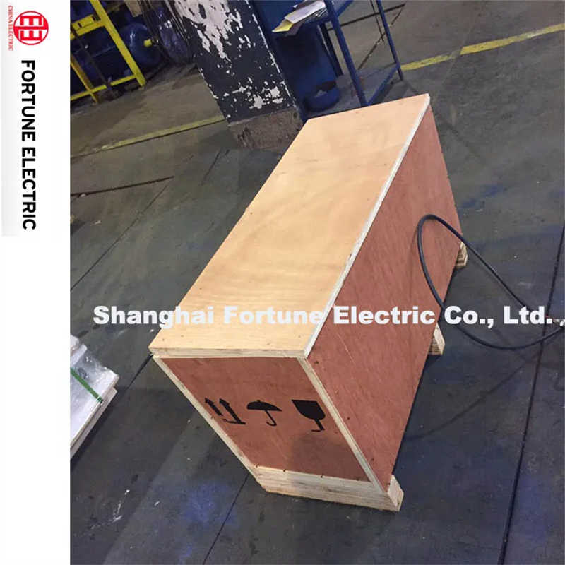 High Torque Crane Motor for Elevator/Lifting Machine