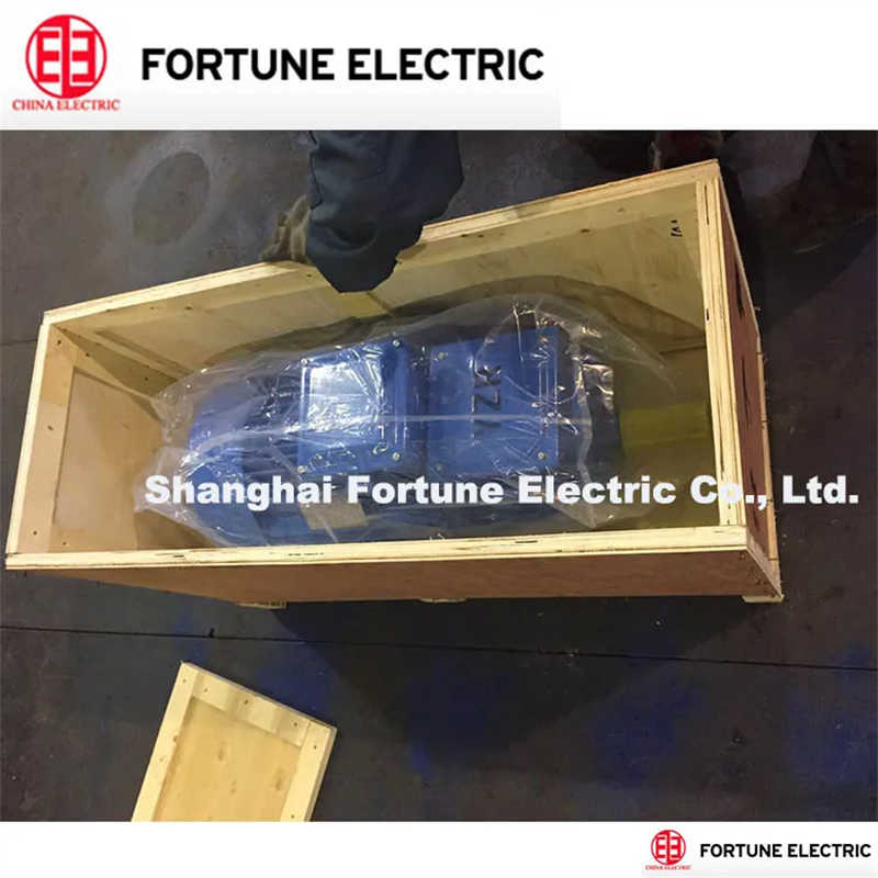 High Torque Crane Motor for Elevator/Lifting Machine