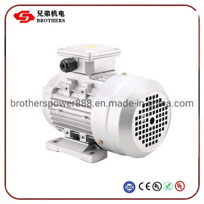 Ye2 Series 0.12-315kw Three Phase Induction AC Electric Motors