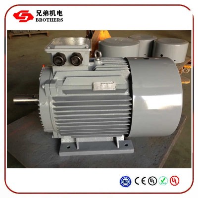Three Phase Electric Motor for Centrifugal Pump and Impeller Pump