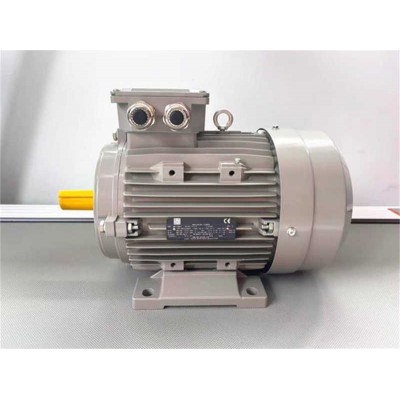 Three Phase Electric Motor for Centrifugal Pump and Impeller Pump