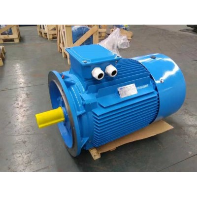 CE Certification Yl90L-4 Yl100L-4 Yl90s-2 Double Capacitor AC Electric Motor