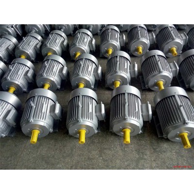CE Certification Yl90L-4 Yl100L-4 Yl90s-2 Double Capacitor AC Electric Motor