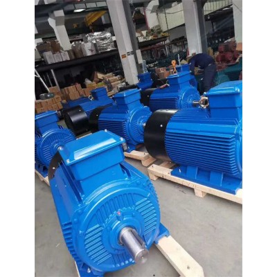 Three Phase Squirrel Cage AC Asynchronous Induction Electric Motor