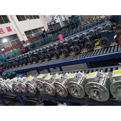 Double Capacitor Induction Aluminum Housing Single Phase Electric Motor