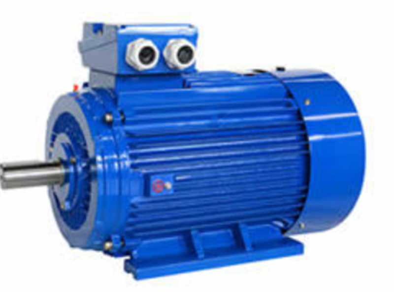 Reliable Three-Phase Induction Motor for Food Manufacturing Needs