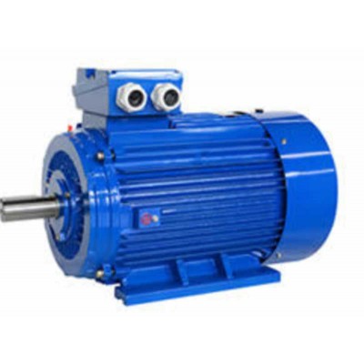 Reliable Three-Phase Induction Motor for Food Manufacturing Needs