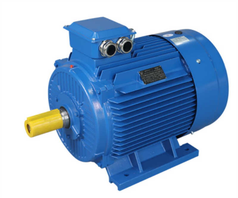 Reliable Three-Phase Induction Motor for Food Manufacturing Needs