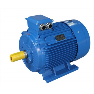 High-Efficiency 2-Pole Industrial AC Motor 380V for Global Markets