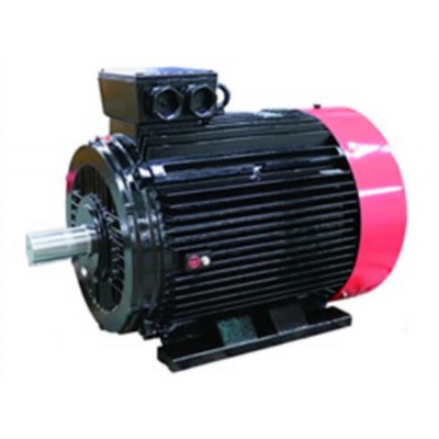 High Power IP55 Food Processor Motor for Low Voltage Applications