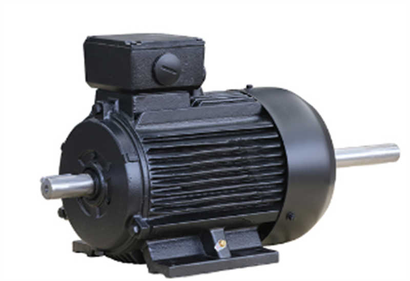 High Power IP55 Food Processor Motor for Low Voltage Applications