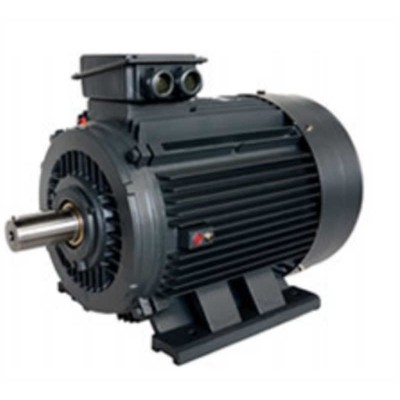 Durable Kino 2 Pole AC Motor with High Performance and Efficiency