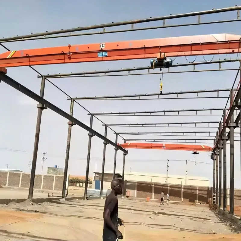 0.5 Ton LX Single Girder Overhead Crane - Lightweight Electric Bridge Crane