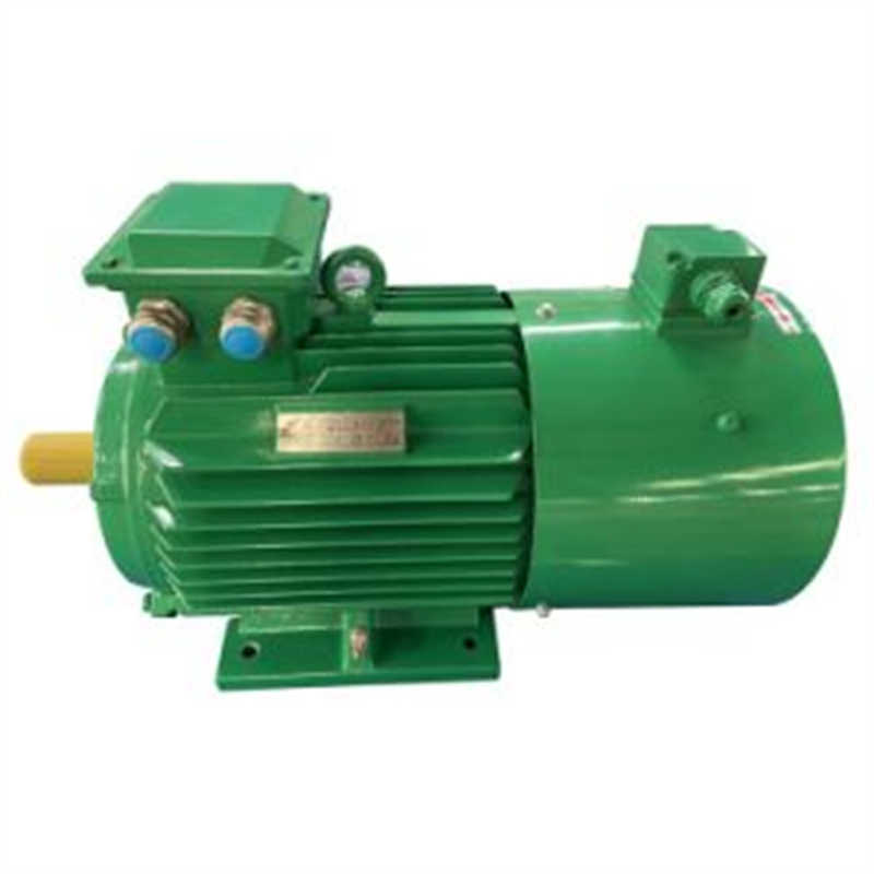 Exdiict4 IP55 Cast Iron IC411 High Efficiency Flameproof Asynchronous Motor
