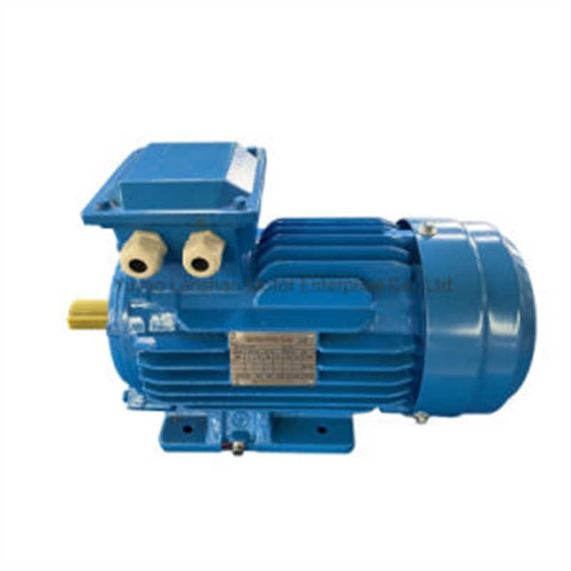 Ye4 Series Squirrel-Cage Cast Three-Phase Asynchronous Induction Motor