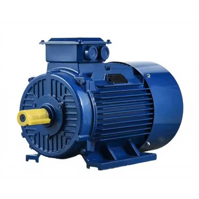 AC Electric Squirrel Cage Three Phase Asynchronous Motor Electric Motor
