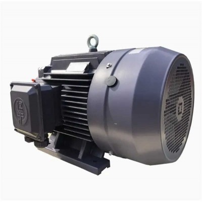 Ye5 AC Motor: High Efficiency Ideal for Industrial & Commercial Applications