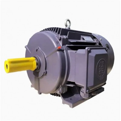 Ye5 Series AC Motor:  High Power Output, Perfect for Heavy-Duty Tasks