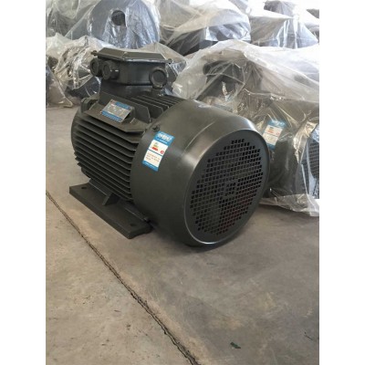 Energy Saving Y2 Series Three-Phase Motor (IE3) - Reduce Operational Costs