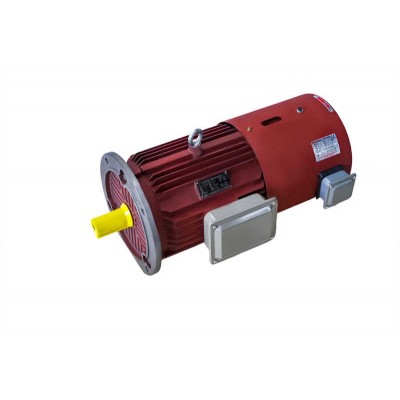 Inverter Duty Motor: Ideal for Frequency Controlled Speed Regulation Systems