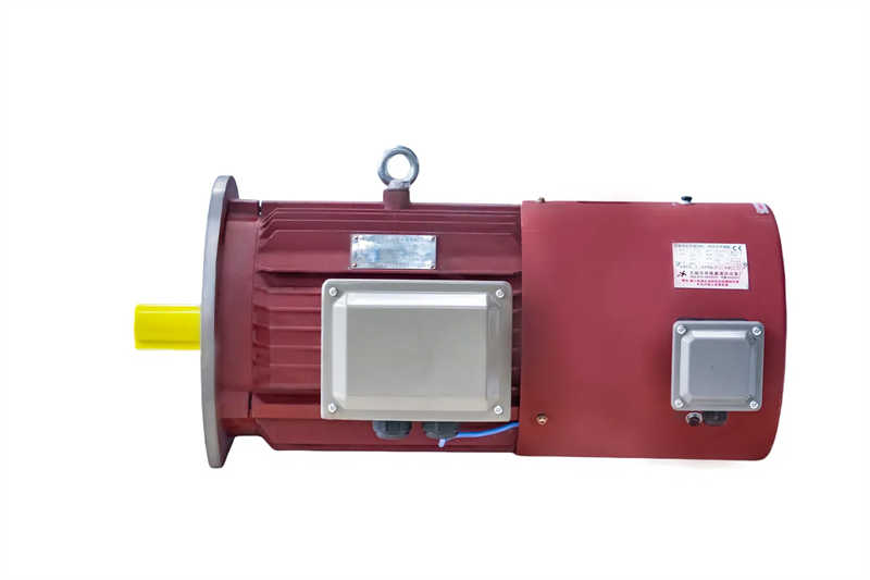 Inverter Duty Motor: Ideal for Frequency Controlled Speed Regulation Systems