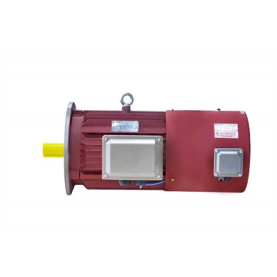 Three Phase Asynchronous Motor: Compatible with Spwm Frequency Changers