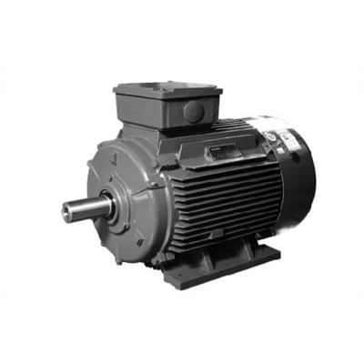 AC Motor Cutting-Edge Shandong 3-Phase Asynchronous Motor-3
