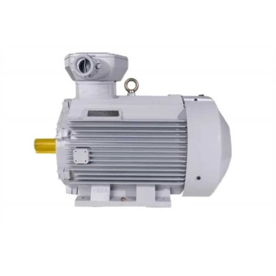 Ye4 Shandong Origin Energy-Saving Three-Phase Asynchronous Motor Series