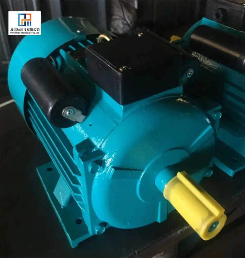 Yl Single Phase Motor with Two Value Capacitor 0.75kw 2.2kw 110/220V