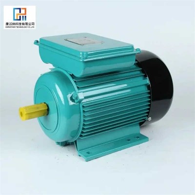 AC Single Phase Electric Yl Series Single-Phase Two-Value Capacitor Motor