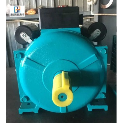 AC Single Phase Electric Yl Series Single-Phase Two-Value Capacitor Motor