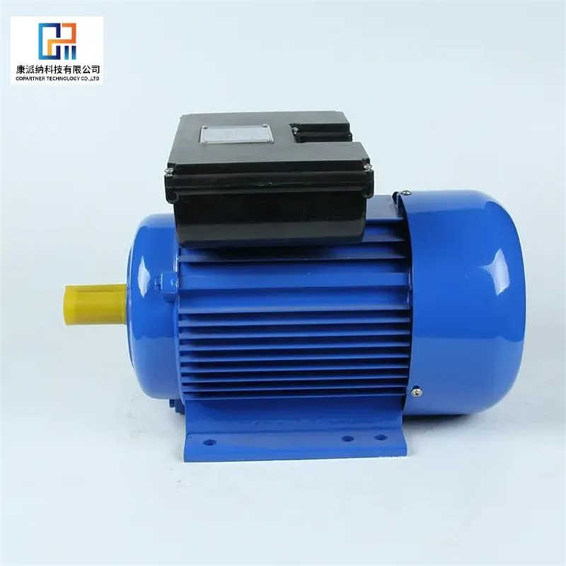 Single-Phase Capacitor Start Asynchronous Motors