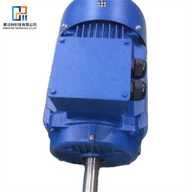 China Wholesale Price Single-Phase Dual-Capacitor Asynchronous Motors.