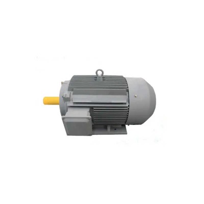 High Voltage 3 Phase AC Motors Electric Motor for Industrial Used