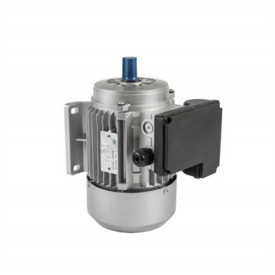 Y Series Capacitor Run Cast Aluminum Asynchronous Induction Electric Motor